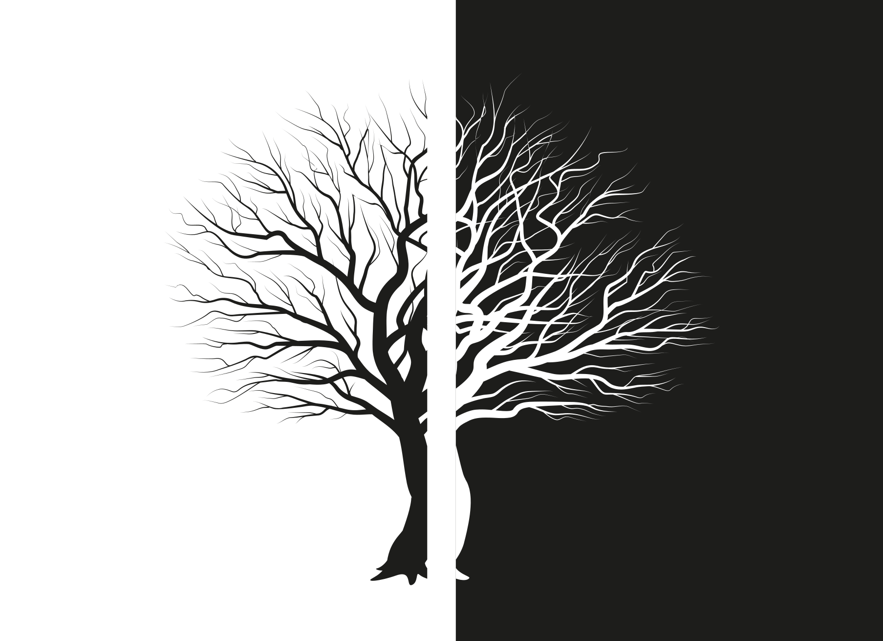 Cuadro de árboles Cruce de árboles en blanco y negro - TenVinilo