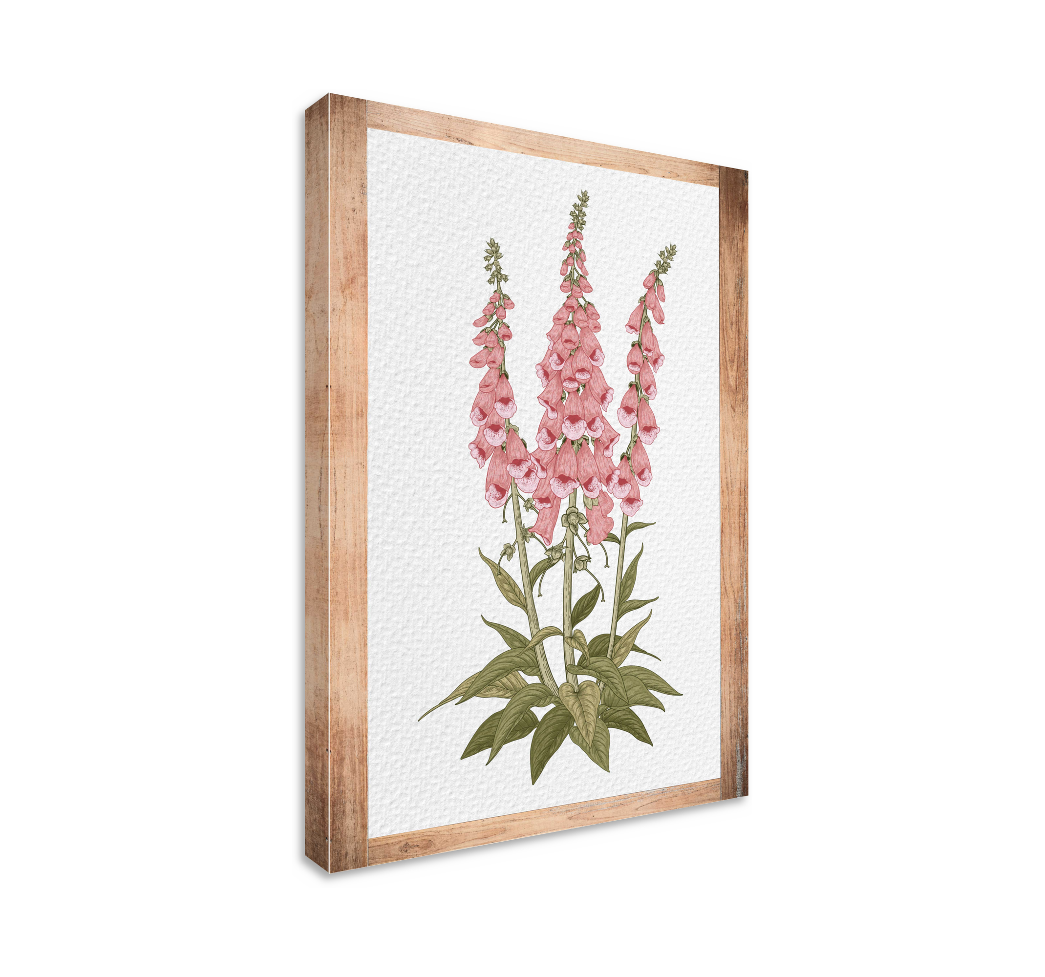 Pink flowers vintage wall prints - TenStickers