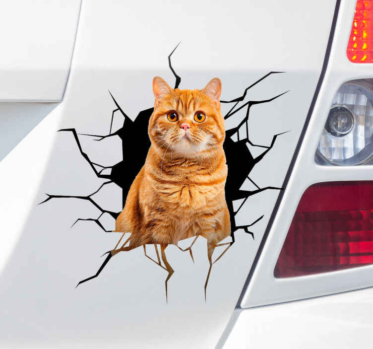 Cat in hole car sticker - TenStickers
