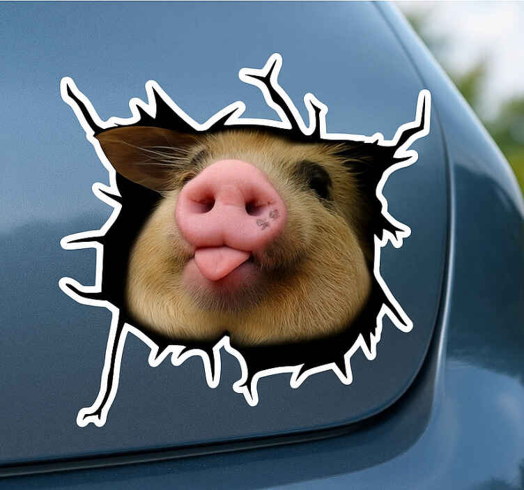 Hayvan çıkartması komik domuz 3d - TenStickers
