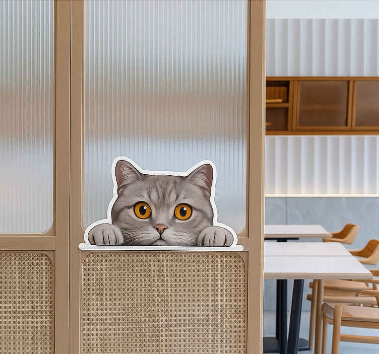 Sticker fenêtre chat curieux qui espionne - TenStickers