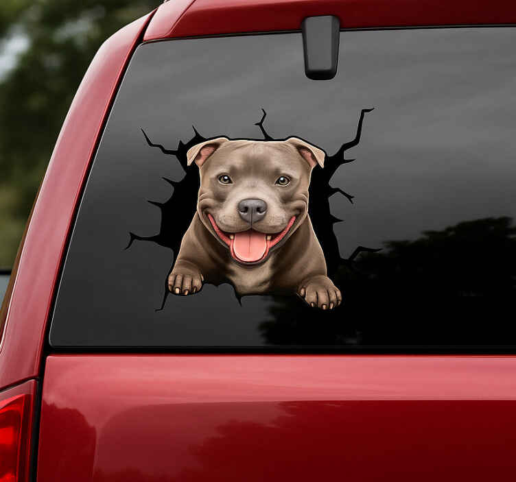 Hayvan çıkartması gülen pitbull zirvesi - TenStickers