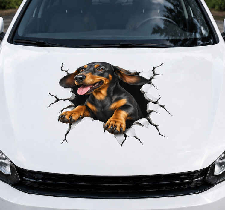 Autocolante para carro cão 3d saindo - TenStickers