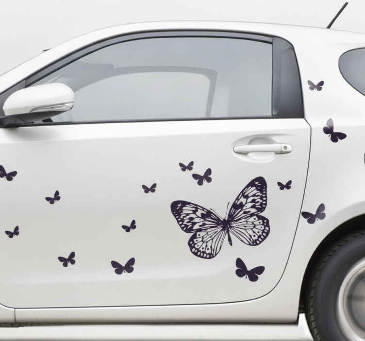 Sticker voiture jolis papillons élégants - TenStickers