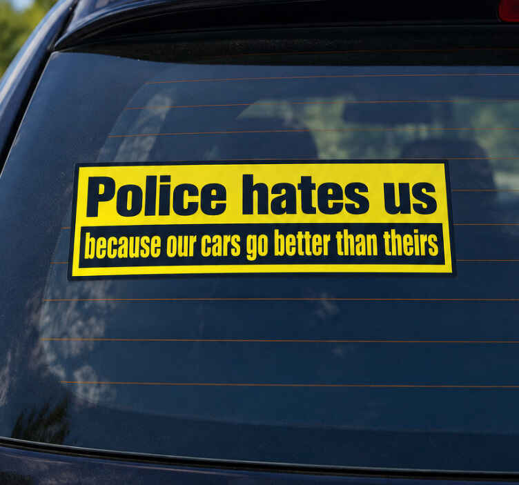 Car sticker police despises us - TenStickers