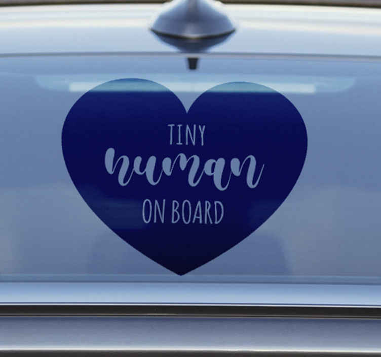 Baby on Board Kids Sign for Boys and Girls I-CHOOSE LIMITED Personalised Your Baby Name Car Windows Sign Sticker Single Sided with Suction Cup 