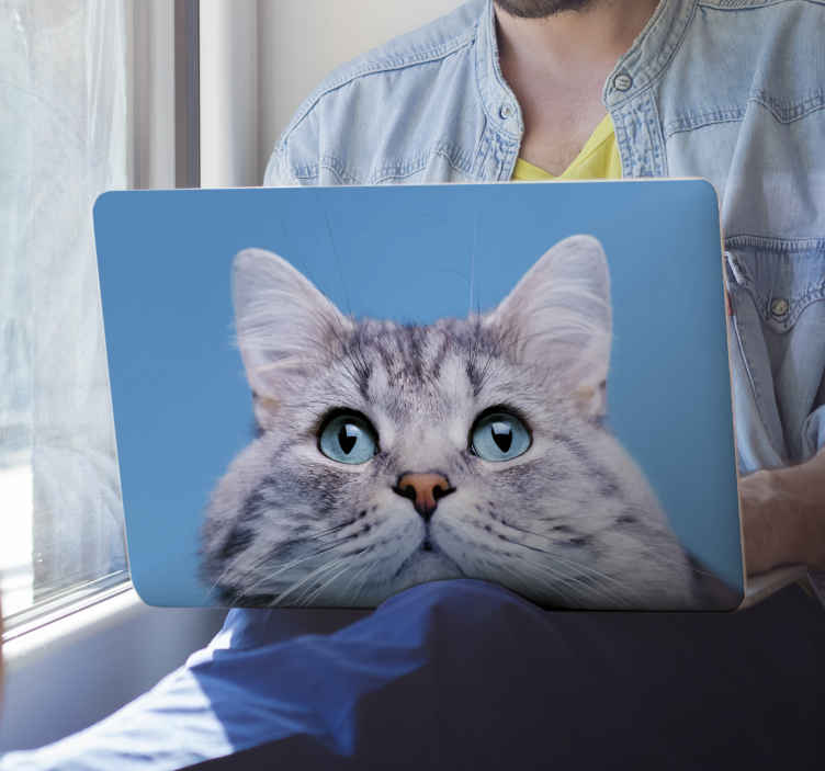 Autocolante decorativo para PC Cabeça de gato realista - TenStickers