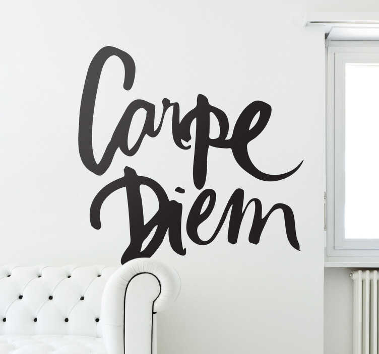 azutura Carpe Diem Wall Sticker Bathroom Quote Wall Decal Inspirational Home Decor Available in 5 Sizes and 25 Colours X-Small Violet