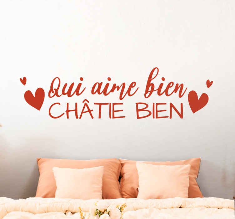 Sticker expression française Qui aime bien - TenStickers