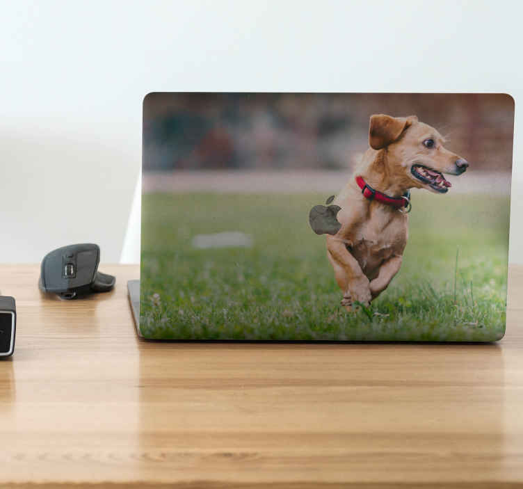 Skin para notebook personalizable - TenVinilo