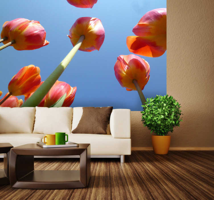 Photo murale tulipes