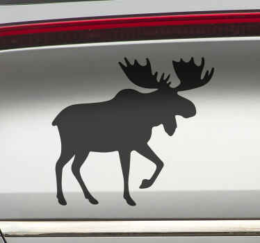 Losí design samolepka na auto - TenStickers