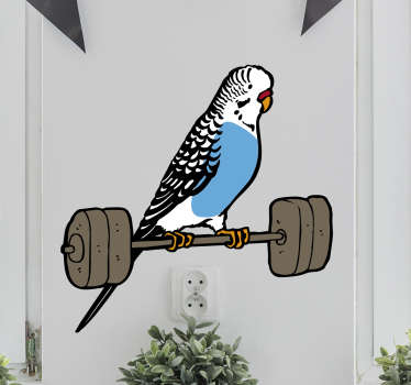 Vinilos para aficionados pericos, seguidores del Espanyol de Barcelona con una representación de su pájaro emblemático.