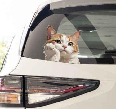 funny cat thinking car sticker - TenStickers