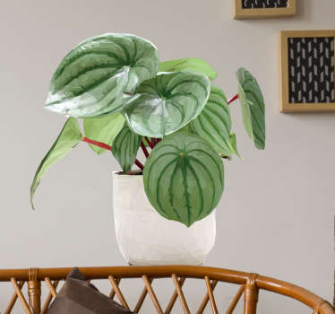 Wandtattoo tropische Pflanze - TenStickers