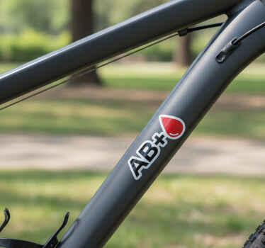 Adesivo per bici gruppo sanguigno - TenStickers