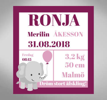 Födelsekort flicka barnkammare vägg klistermärke - Tenstickers