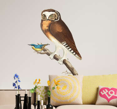 Uil op tak muur kunst sticker - TenStickers