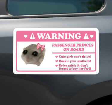 Car sticker passenger princess humor - TenStickers