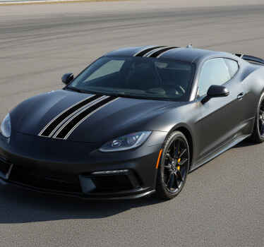 Pegatina coche franjas de carrera suaves - TenVinilo