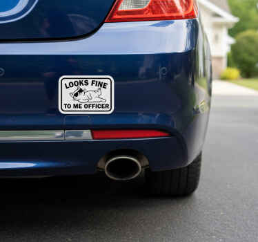 Car sticker looks fine to me officer - TenStickers