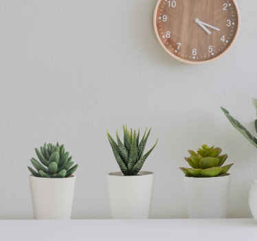 Adesivo murale con piante grasse - TenStickers