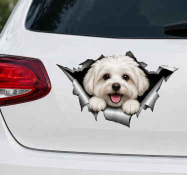 Autoaufkleber 3d süßer hund - TenStickers