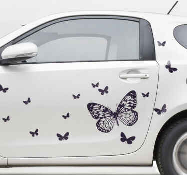 Sticker voiture jolis papillons élégants - TenStickers