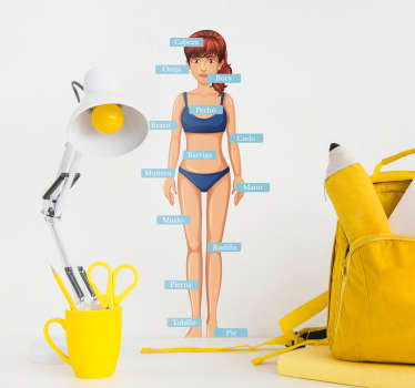 Vinilo pared anatomía humana partes del cuerpo - TenVinilo