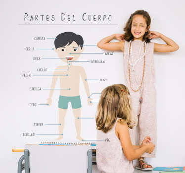 Vinilo infantil partes del cuerpo humano - TenVinilo