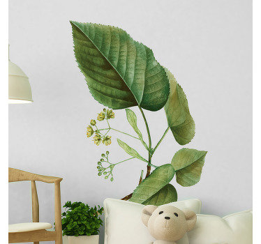 Leaf Linden plant wall sticker - TenStickers