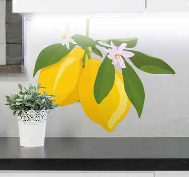 Sticker de Fruit Citronnier - TenStickers