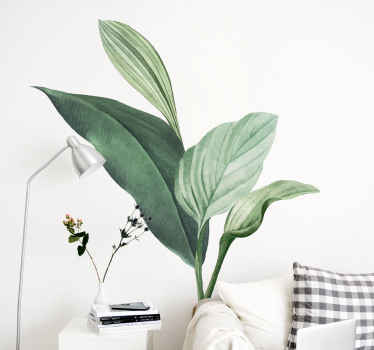 Vihreät vedetyt trooppiset lehdet kasvitarrat - Tenstickers