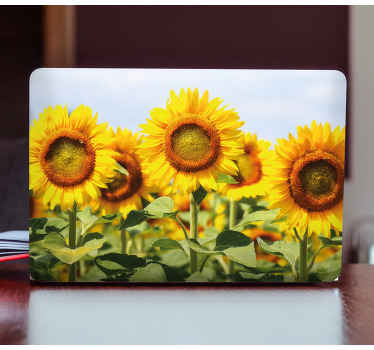 Vinilo para portátiles Campo de girasoles hacia abajo - TenVinilo