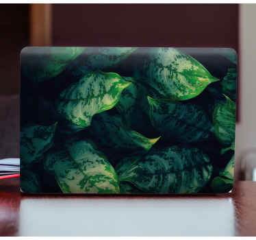 Vinilo para portátiles Hojas de maranta - TenVinilo