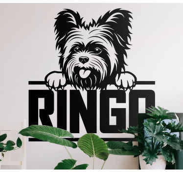 漂亮的约克夏狗偷看猫贴纸 - TenStickers