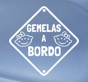 Vinilo gemelas a bordo - TenVinilo