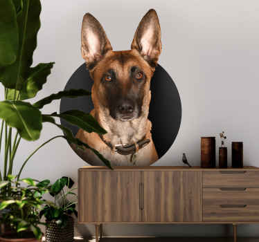 Muursticker Belgische herder tienerkamer - TenStickers