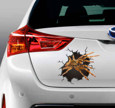 3D Broken Spider 3D wall sticker - TenStickers