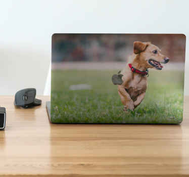 Skin para notebook personalizable - TenVinilo