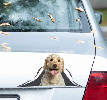 3D autosticker van Labradoodle - TenStickers