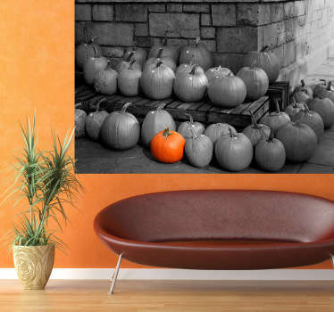 사진 벽화-하나의 밝은 주황색 호박의 계약으로 예술적 흑백 사진 촬영.