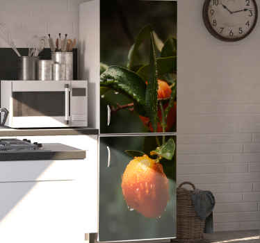 Vinilo para nevera fruta de España - TenVinilo