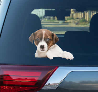 Peeking dog window car sticker - TenStickers