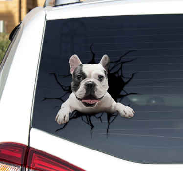 Autoaufkleber Hund guckt aus dem Fenster - TenStickers