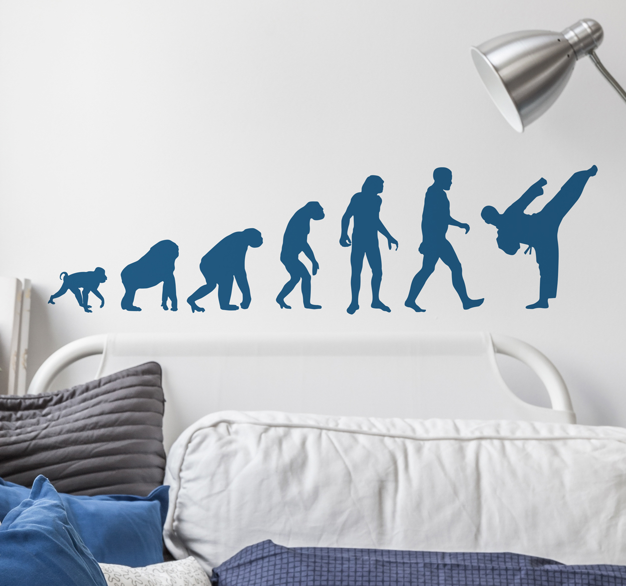 Vinilo evolución humana karate
