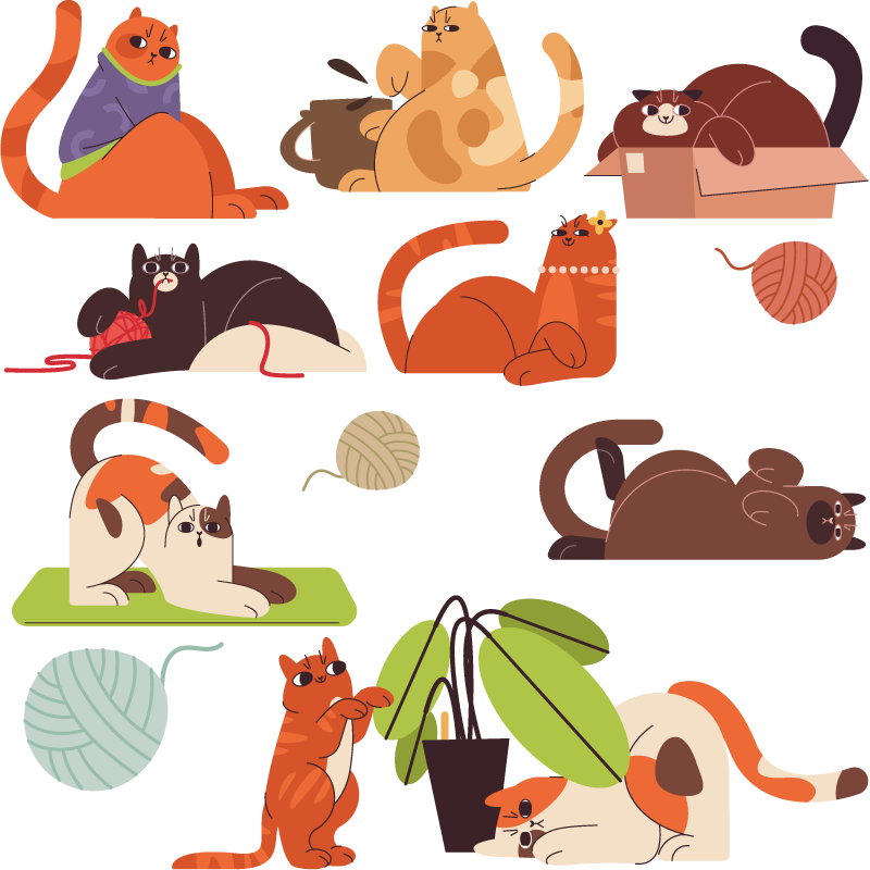 창 스티커 놀이하는 고양이 - TenStickers