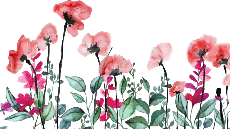 Flowering poppies window sticker - TenStickers