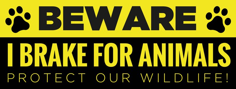 I brake for animals text sign car sticker - TenStickers