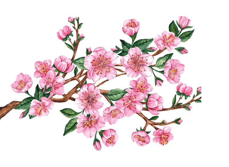 Blomstrende gren vindue sticker - TenStickers